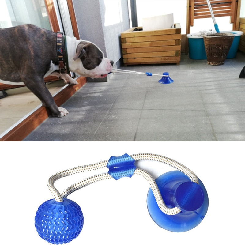 Lallypet™ Dog Interactive Suction Cup